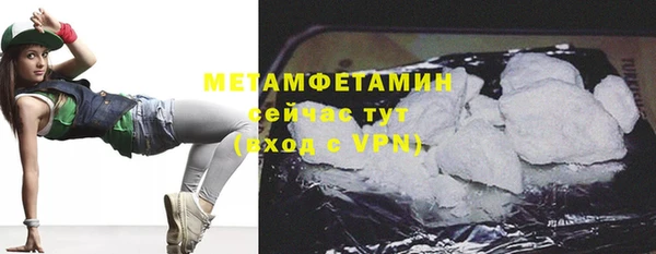 прущие грибы Бородино