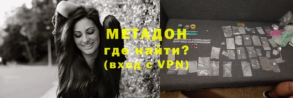 прущие грибы Бородино