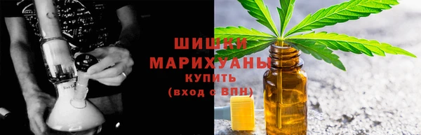 прущие грибы Бородино