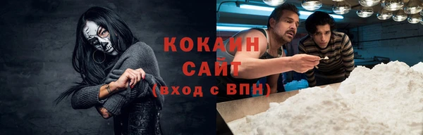 прущие грибы Бородино