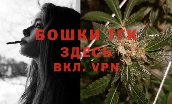 прущие грибы Бородино