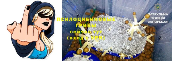 2c-b Богородск