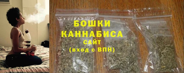 прущие грибы Бородино
