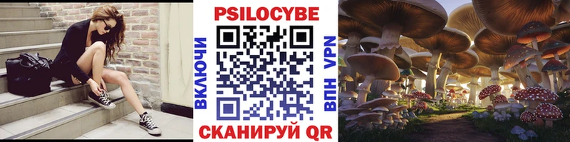 хочу наркоту  Мосальск  Псилоцибиновые грибы Cubensis 